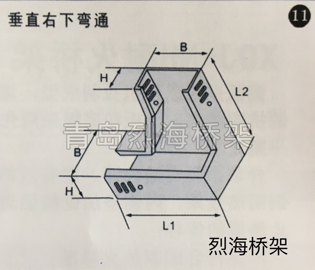 ֱͨ